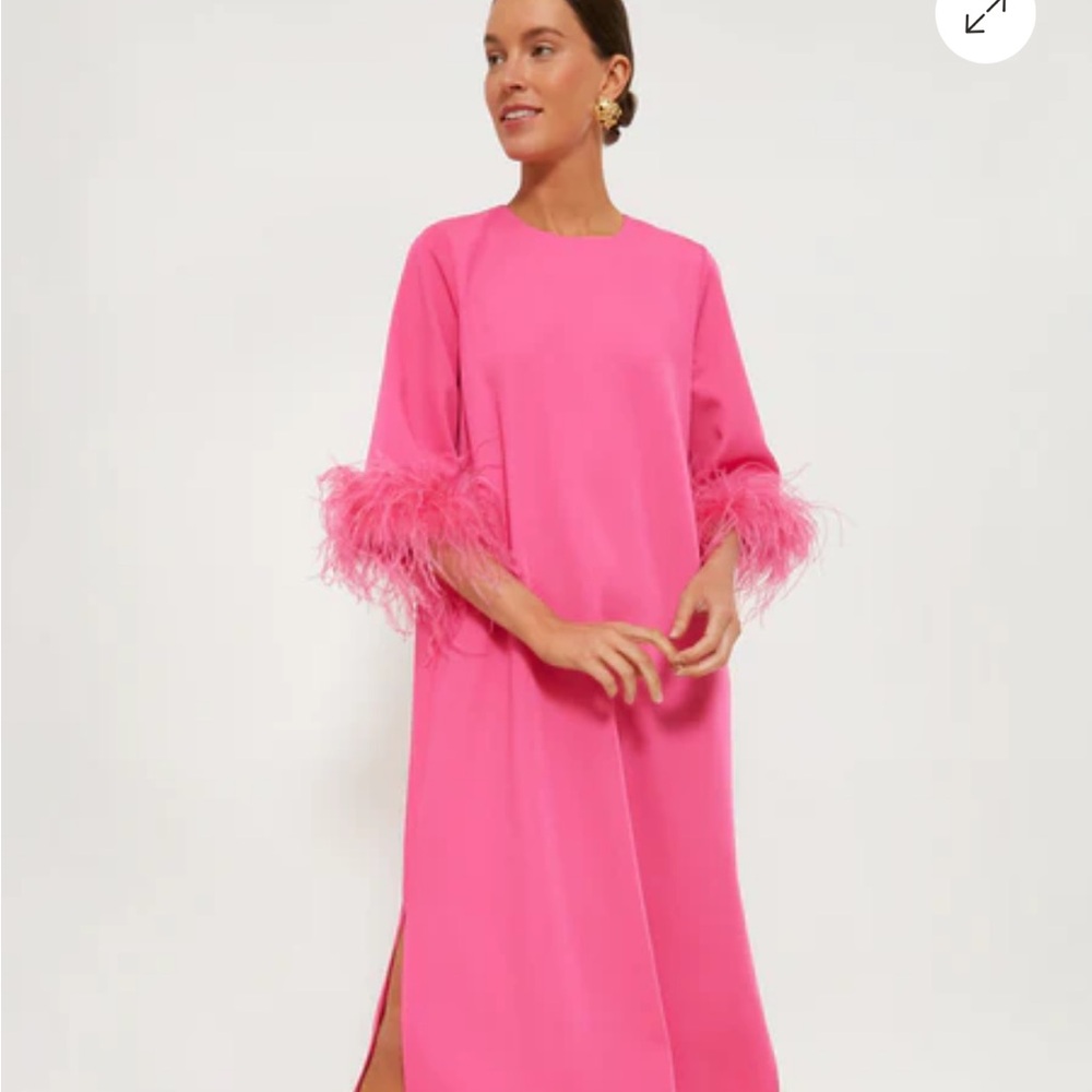 Tuckernuck Pink Feather Trim Jamie Dress